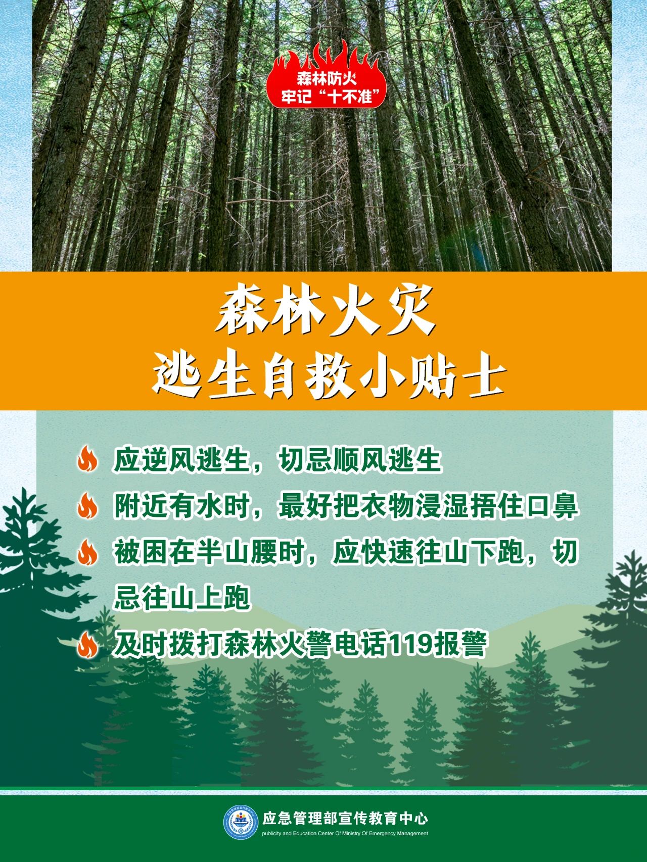 6227db7537ba6bb85f4c80d927391001.jpg