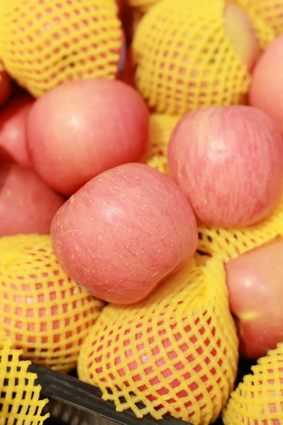 1773019712058066015.jpg 6398758491258aaae969d209cb99427f.jpg