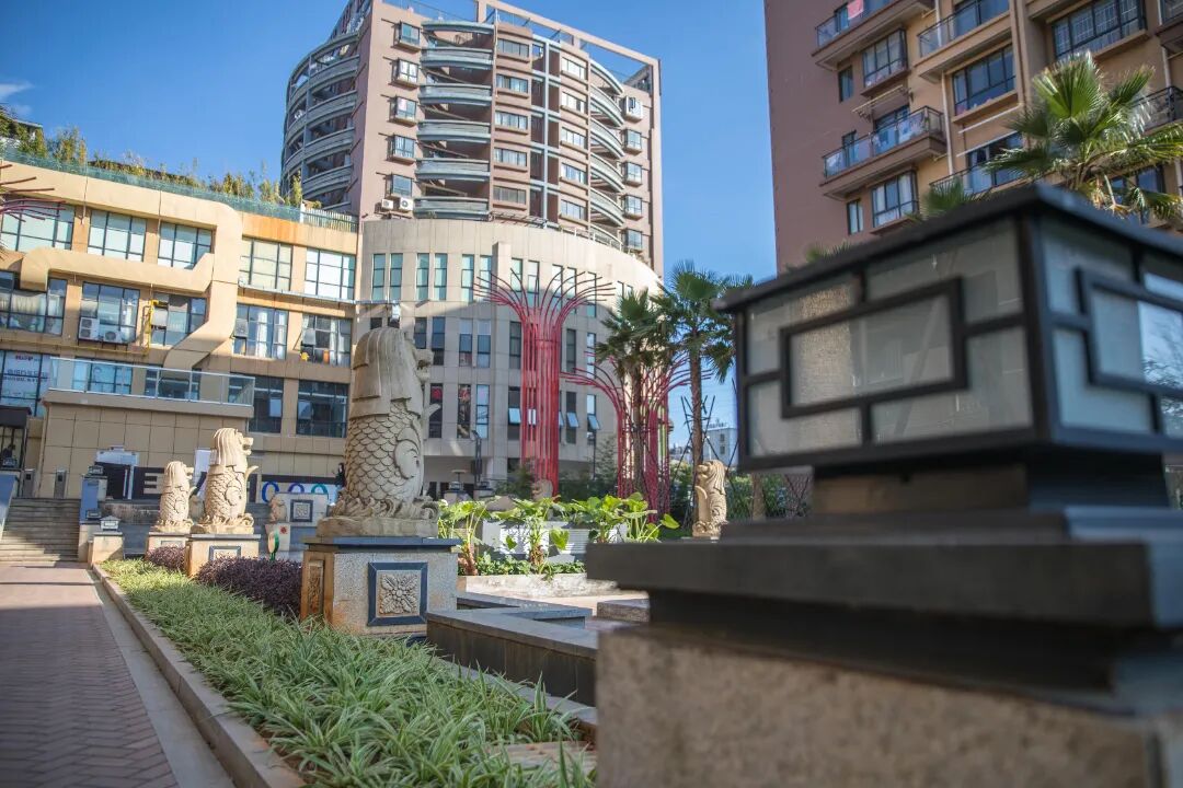 1773019858154038030.jpg edcc8a1aafb103abe4d4607d983469e2.jpg