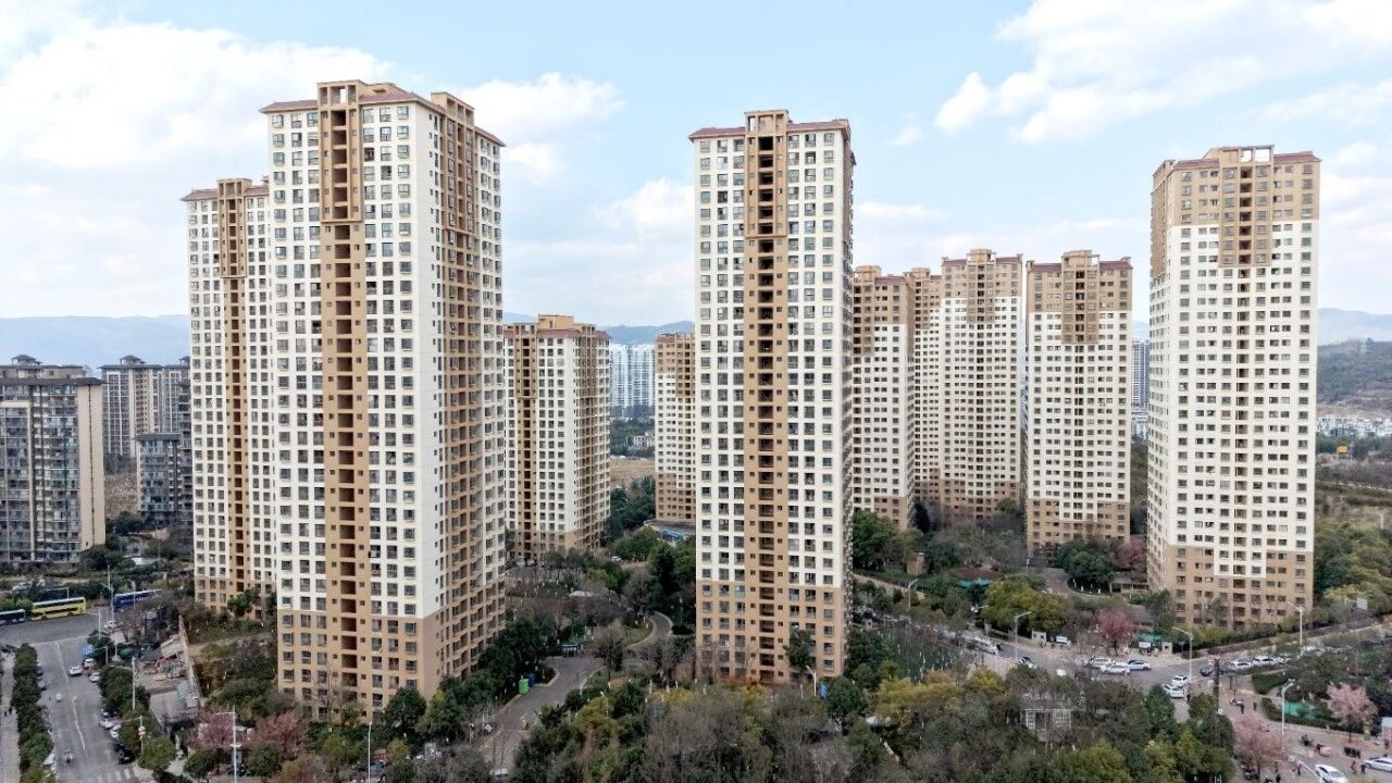 1773623661185013709.jpg ffed5de6ea67e6deb007c4ef9931cba4.jpg